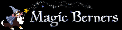 Magic Berners Logo
